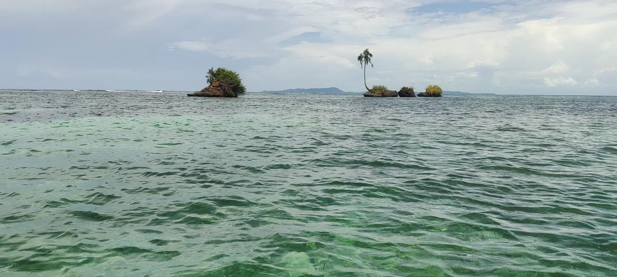 Bambu Lounge Bocas Hostel Bocas Town Luaran gambar