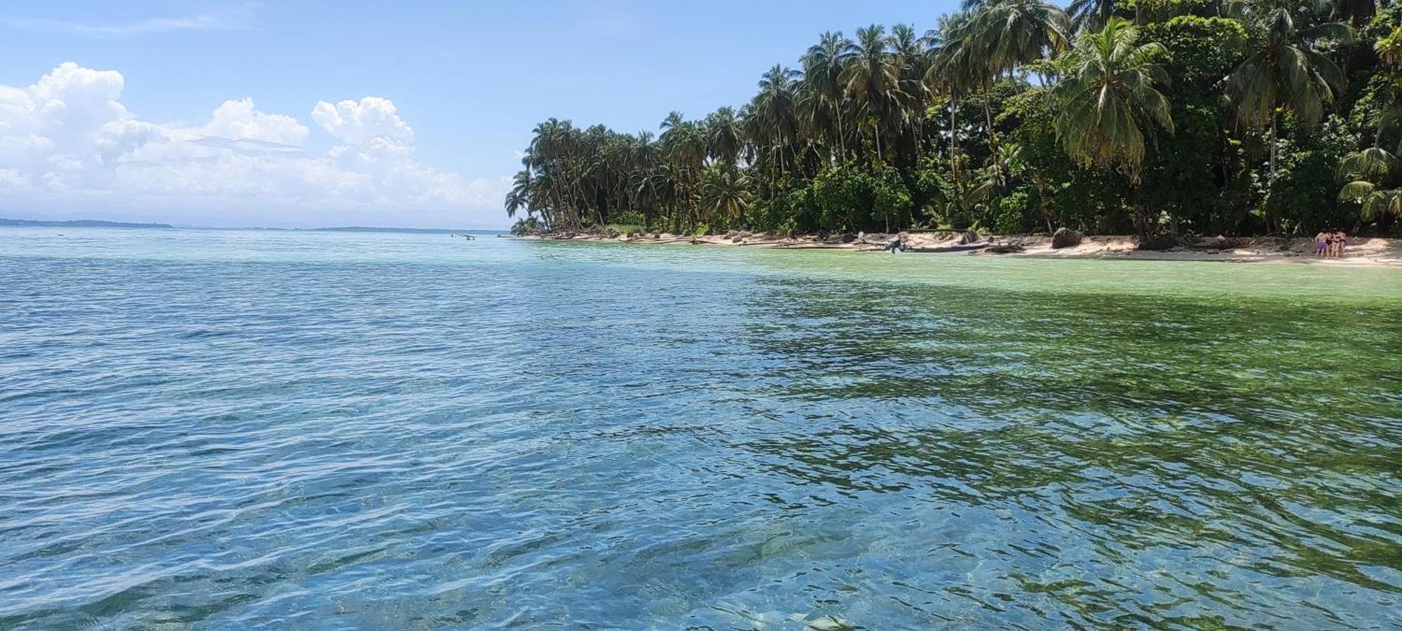Bambu Lounge Bocas Hostel Bocas Town Luaran gambar
