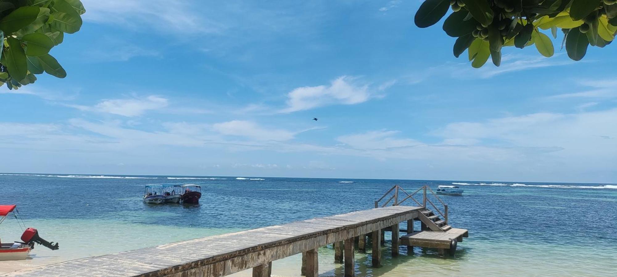 Bambu Lounge Bocas Hostel Bocas Town Luaran gambar